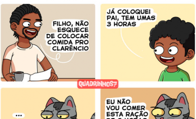 Gatos e suas preferÃªncias