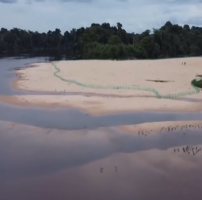 QUELÔNIOS DA AMAZÔNIA ATÉ 2030